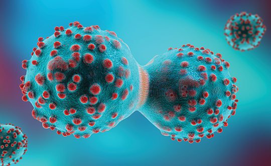 A three-dimensional illustration of a cancer cell in the process of mitosis.