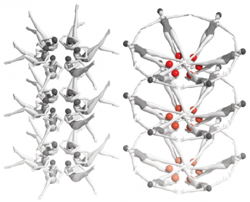 riboswitch RNA molecules rearrange themselves into a new crystal form