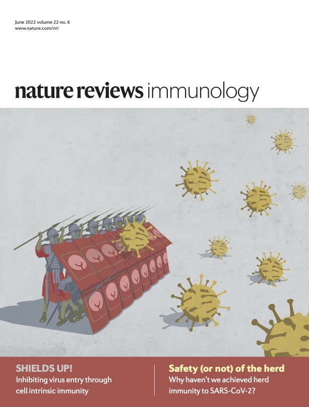 Shield's Up! Inhibiting virus entry through cell-intrinsic immunity