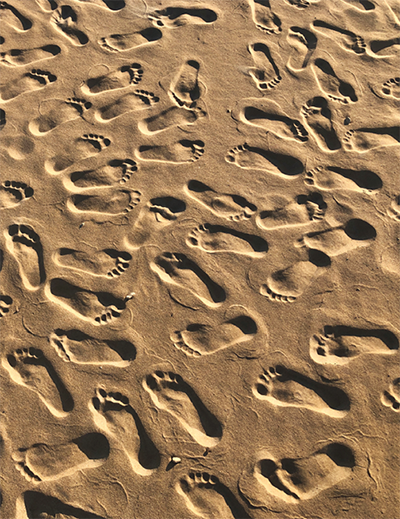 Following Viral Footprints