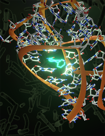 Switching on RNA