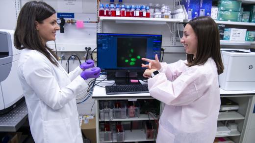 Scientists communicating using American Sign Language (ASL)