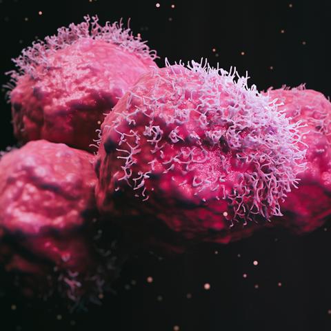 Tumor cells