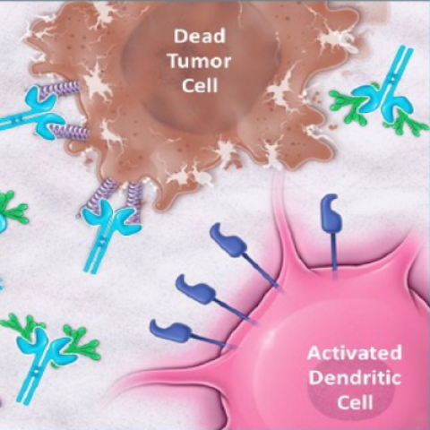 NC410 binds to tumor-associated ligands