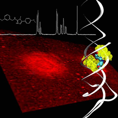 RNA