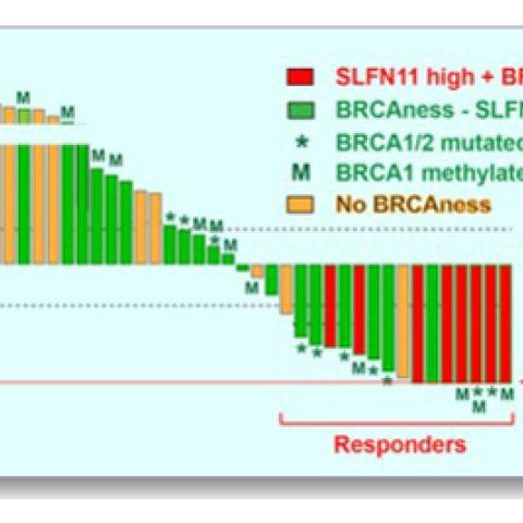 Response chart