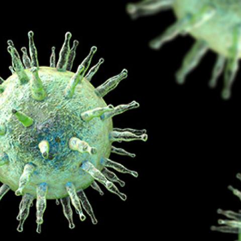 Epstein-Barr virus