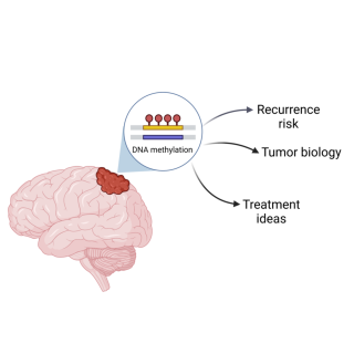 pattern of DNA methylation in a meningioma tumor