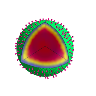 Three-dimensional illustration of a SSHEL drug delivery system.