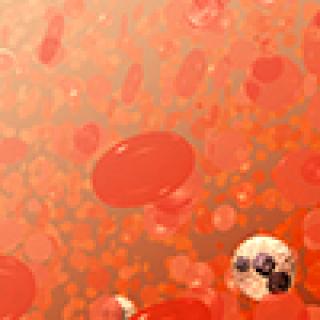 Blood cell