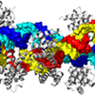 RNA