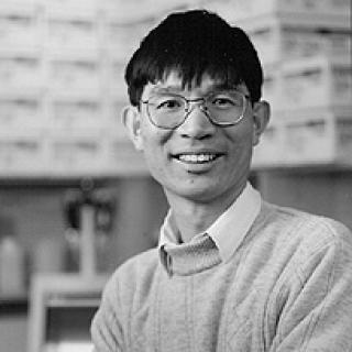 Maxwell P. Lee, Ph.D.