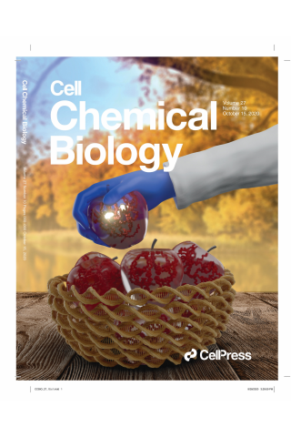 Parallel Discovery Strategies Provide a Basis for Riboswitch Ligand Design