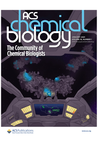 Harnessing Ionic Selectivity in Acetyltransferase Chemoproteomic Probes