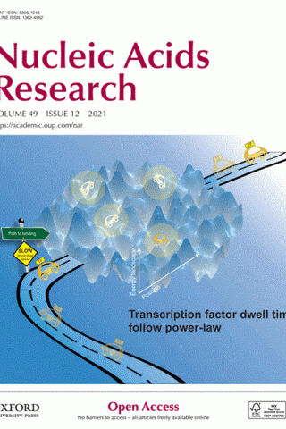 A Transcription factor (TF) must engage with chromatin to regulate gene expression. Using single-molecule tracking, it is possible to follow individual TF molecules inside live cells. The image illustrates how a TF (shown as a car) travels through a rugged energy landscape of binding affinities arising from the heterogeneity of the nuclear microenvironment and binding sites, giving rise to a power-law distribution of residence times.