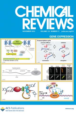 cover of Chemical Reviews Nov 2013