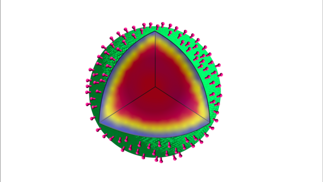 Three-dimensional illustration of a SSHEL drug delivery system.