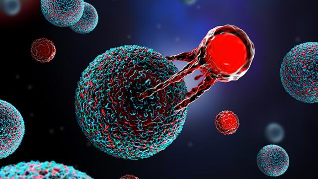 Three-dimensional illustration of a T cell attacking a cancer cell.