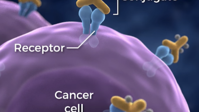 photoimmunotherapy