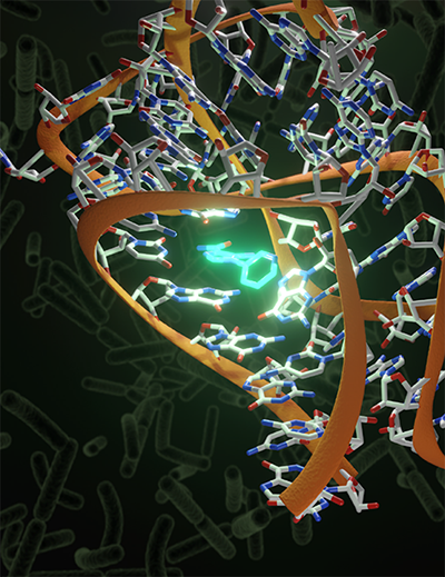  molecule interacting with a bacterial riboswitch