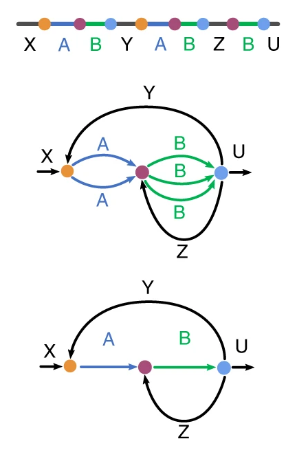 Flye graph