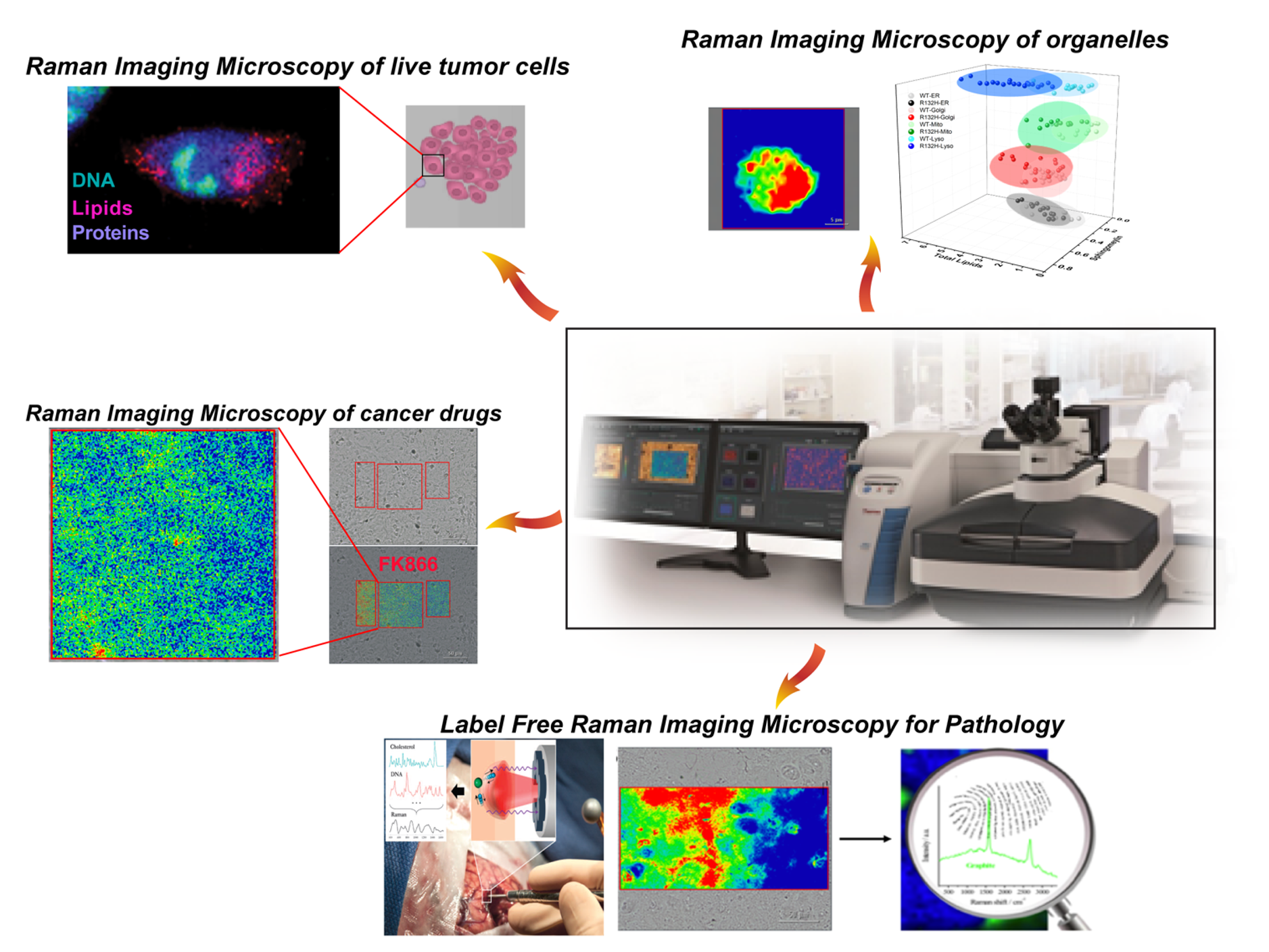 Diagram of various types of Raman spectroscopy