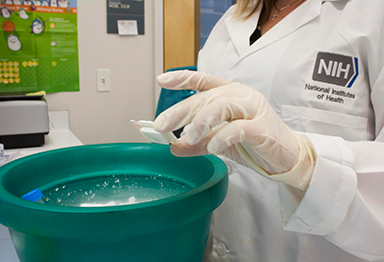 Scientist in lab