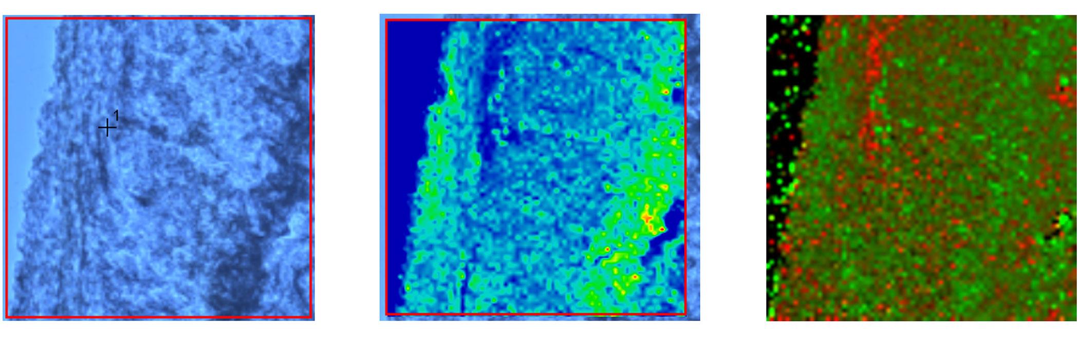 Three microscopy images: one showing brain tissue under an optical microscope and two Raman images