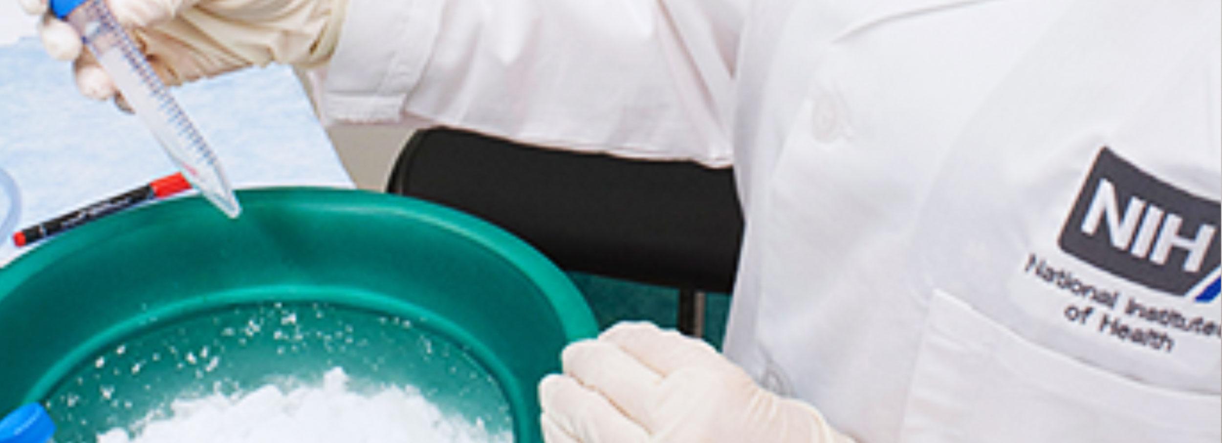 Scientist's hands holding test tube