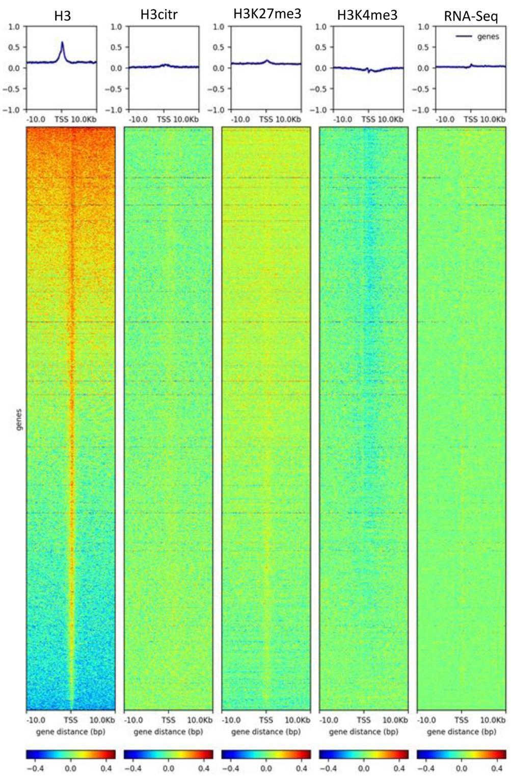 Example of ChIP-seq data analysis, as published in Moshkovich et al. 2020.