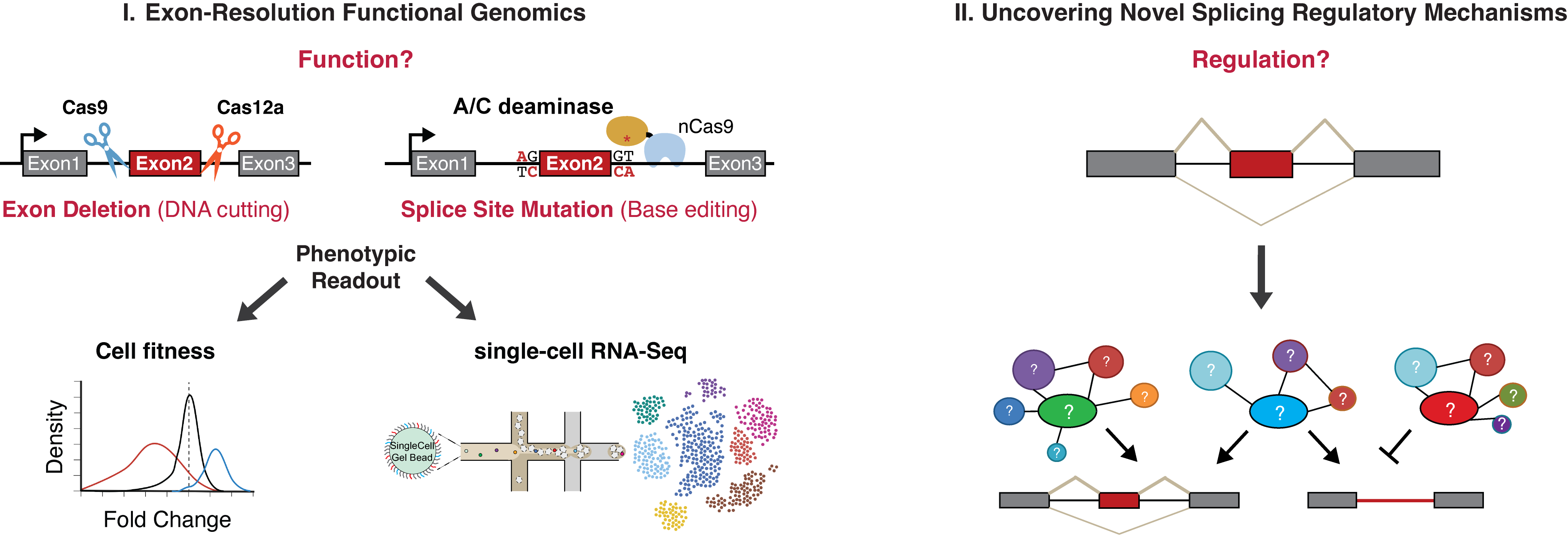 Research Summary Graphical Abstract