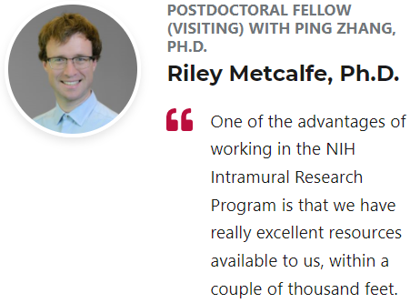 Quote from Riley Metcalfe: One of the advantages of working in the NIH Intramural Research Program is that we have really excellent resources available to us, within a couple of thousand feet.