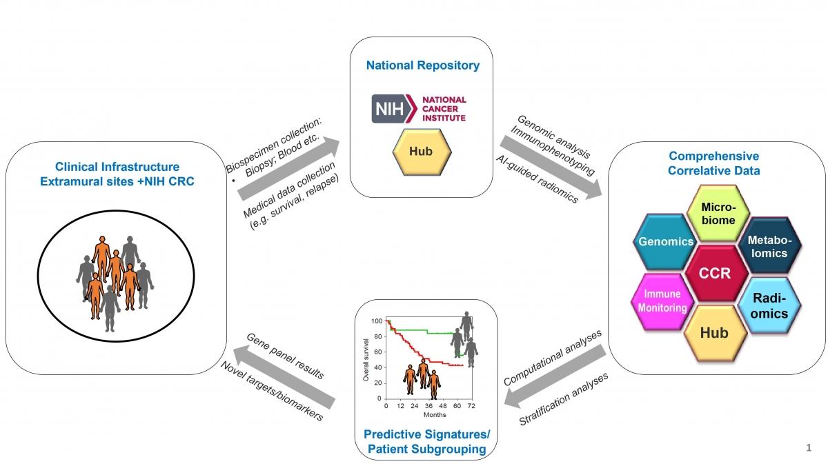 CLARITY study diagram