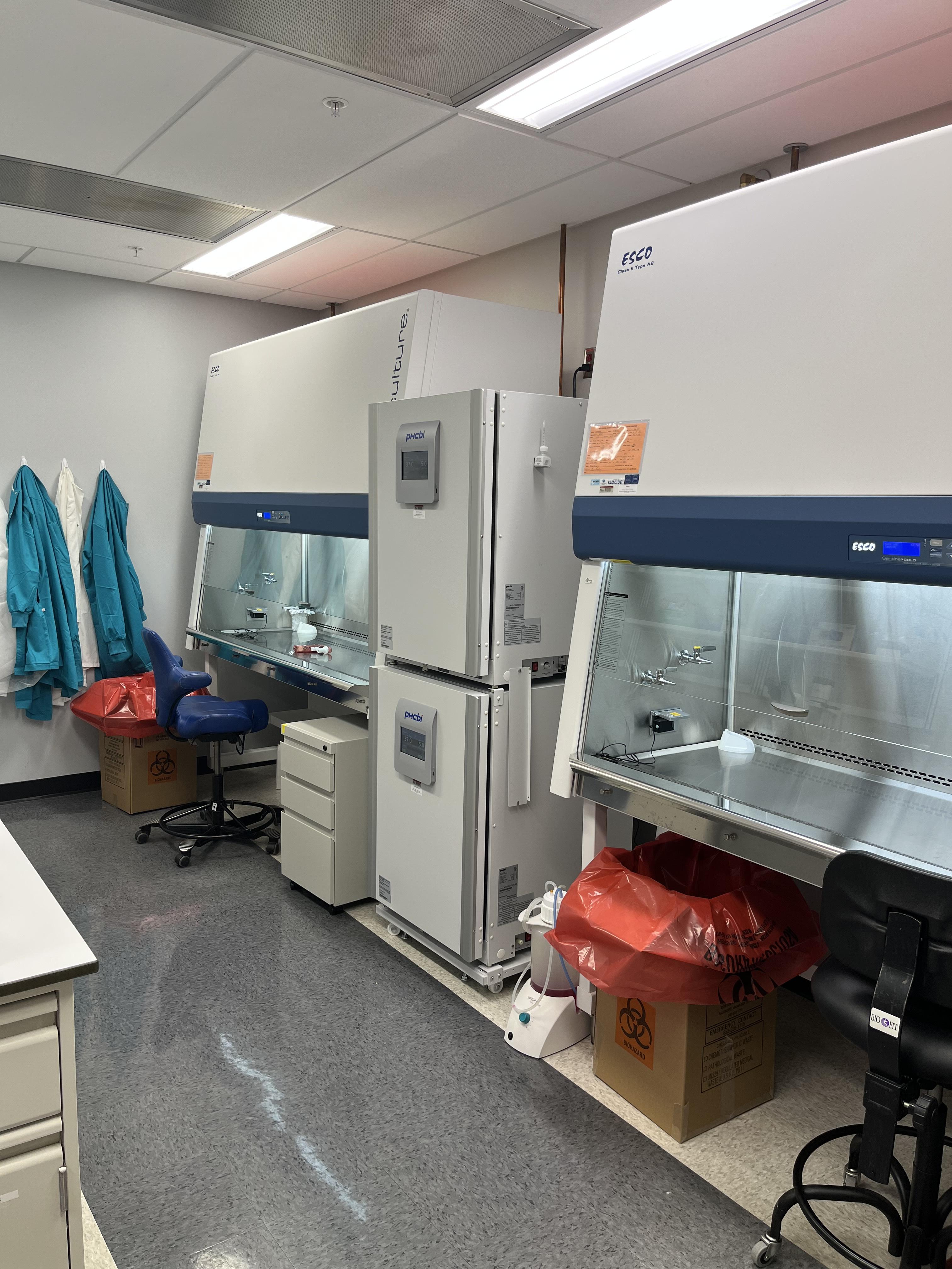 Cell culture area