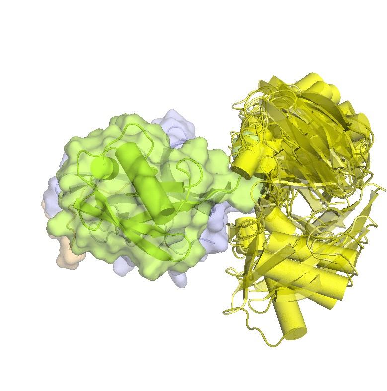 Structure of hRpn2-bound hRpn13 with K48-diubiquitin.