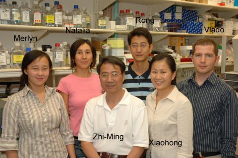 Zheng Lab 2006