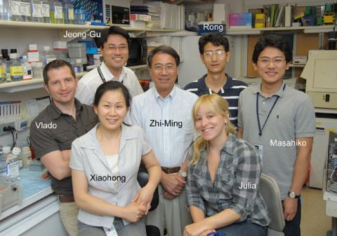 Zheng Lab 2010